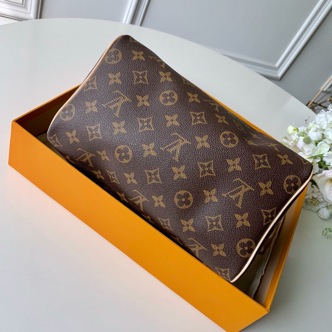 l0*is V*t0n speedy 25-25*19*15cm