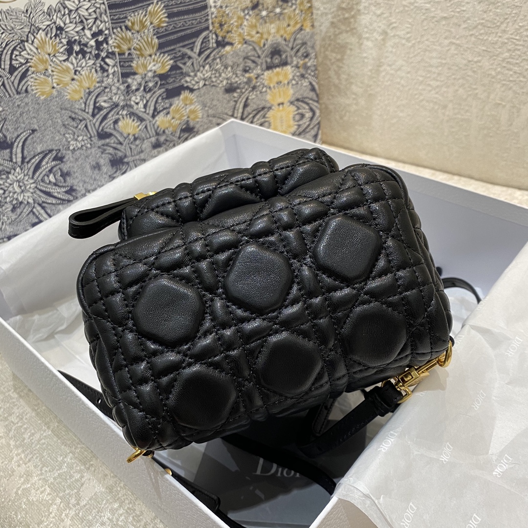 D*or backpack