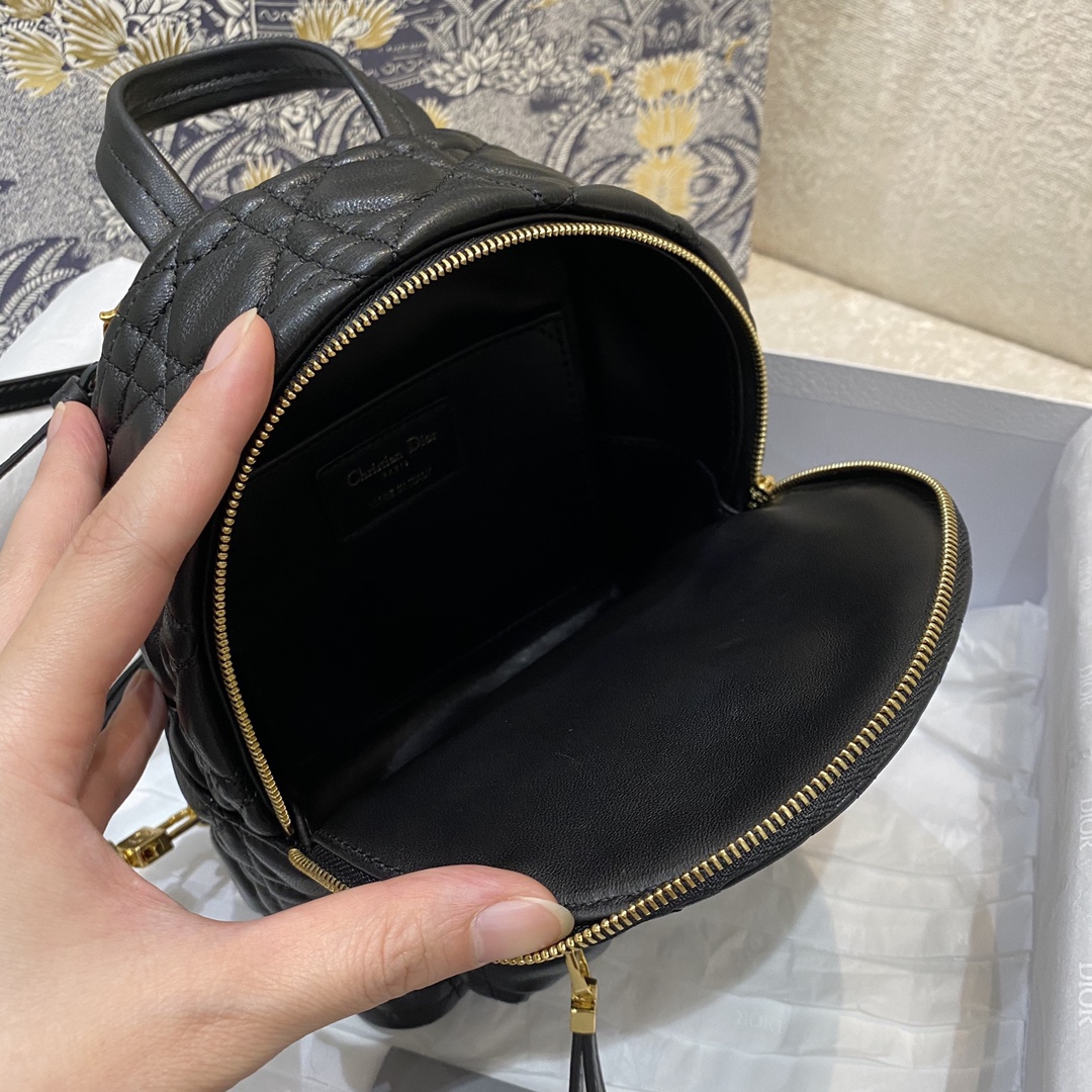 D*or backpack