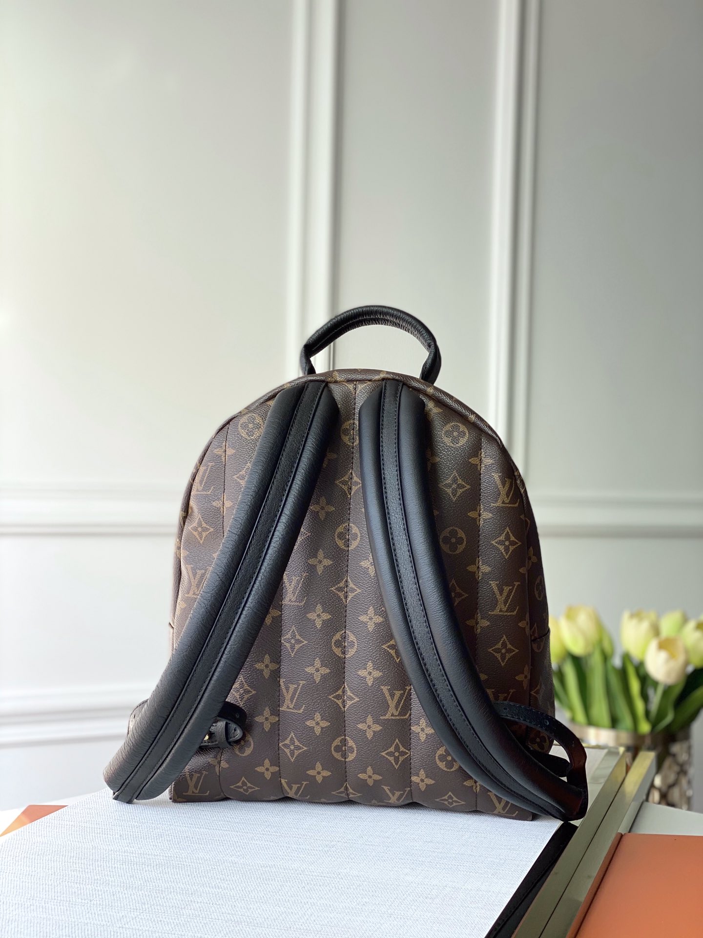 l0*is V*t0n mm backpack-28*33*16cm