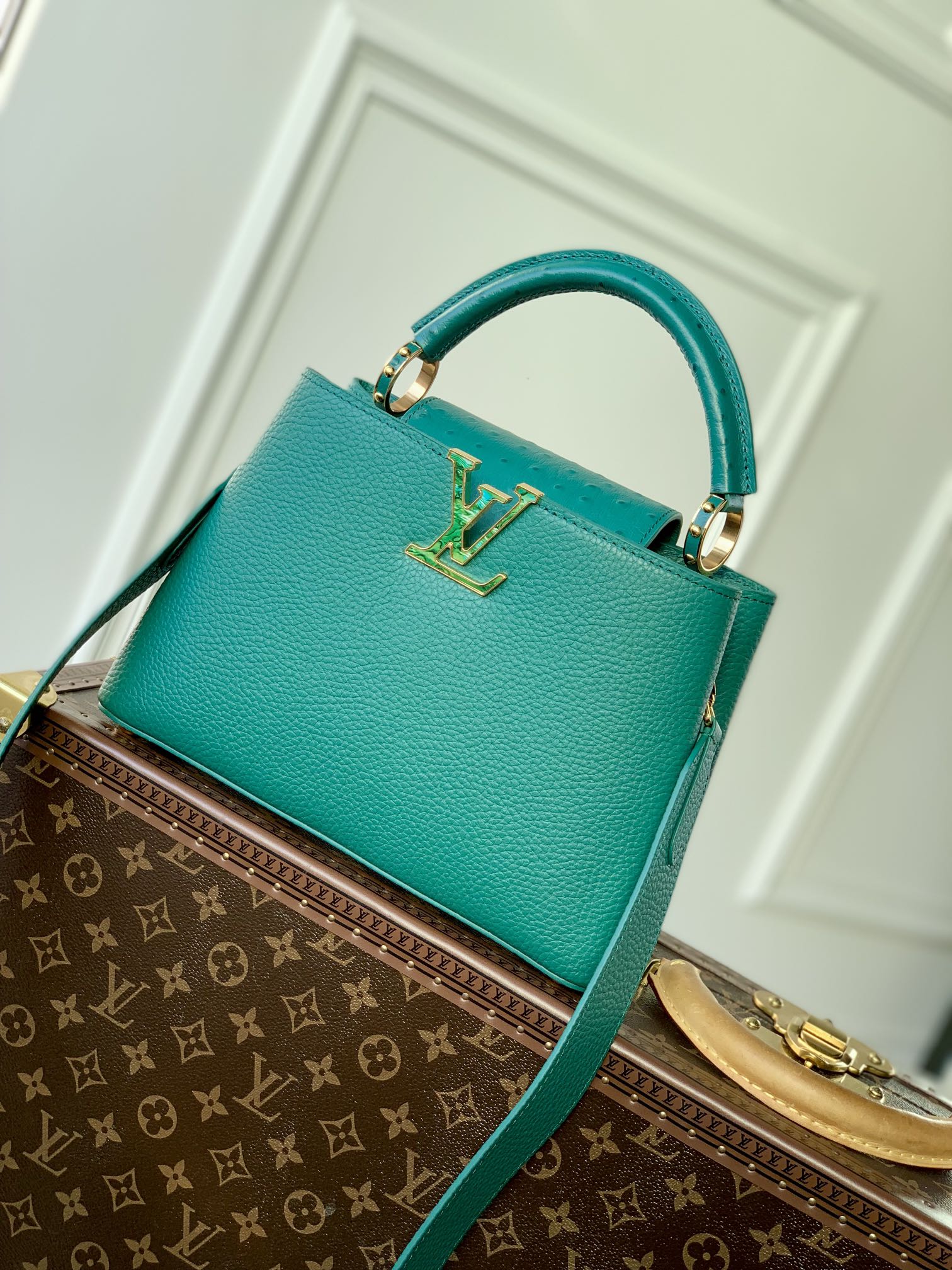 l0*is V*t0n capucines bb-m21164-27*18*9cm
