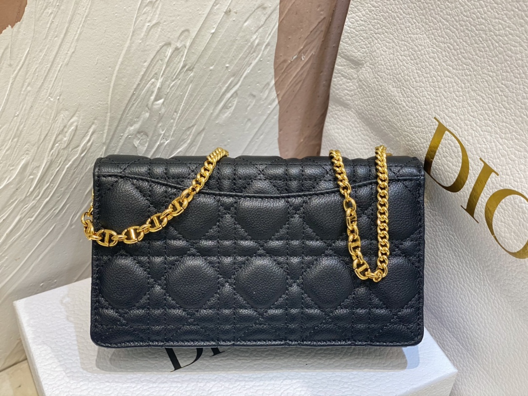 D*or 2022 caro bag-20 x 11.5 x 3.5cm