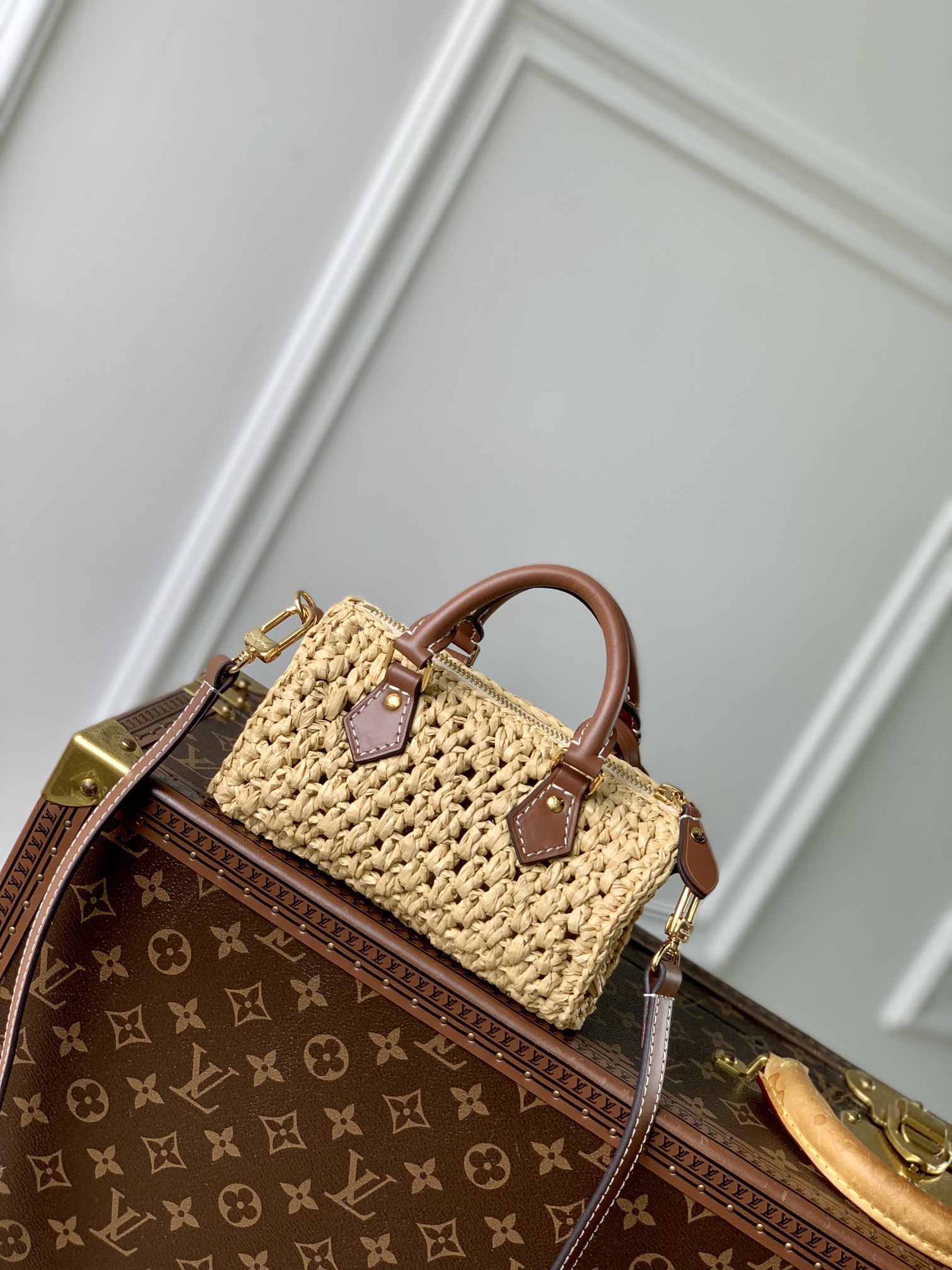 l0*is V*t0n nano speedy-16*10*7.5cm